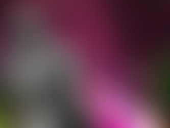 Polícia Civil prende suspeito de executar a líder quilombola Mãe Bernadete, na Bahia