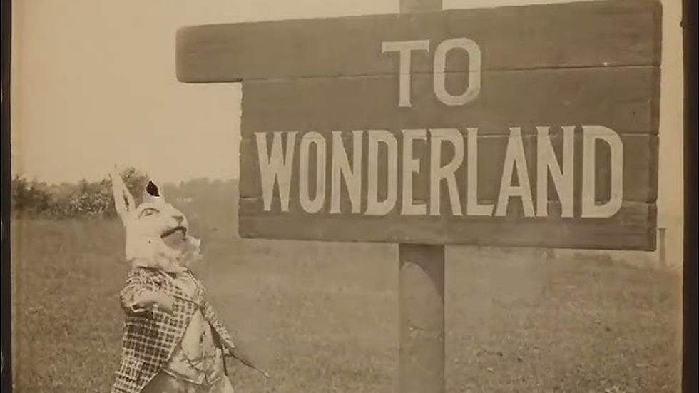 ALICE IN WONDERLAND | Live-Musik: LÜFTEN & STERZINGER