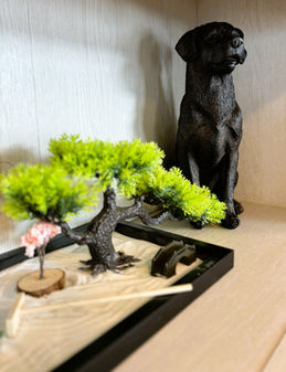 Decorative bonsai tree and sculpture display at Evergreen Gardens assisted living in Strongsville, Ohio, enhancing the peaceful and elegant surroundings.