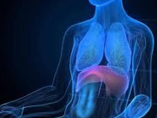 Deep dive into Cardiac Drift and Breathing