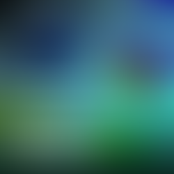 How to Cancel Facebook Subscription 2025