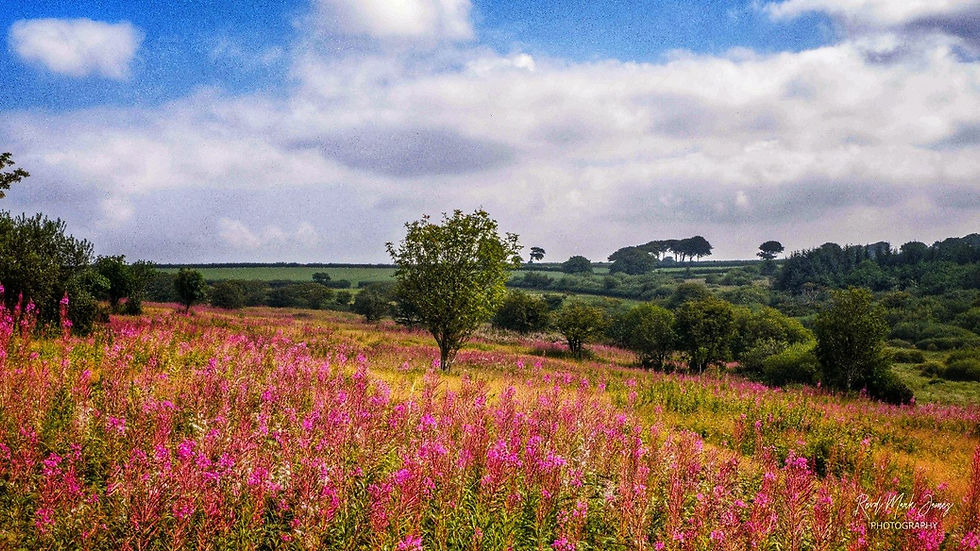 Bradworthy Views c. Revd Mark James
