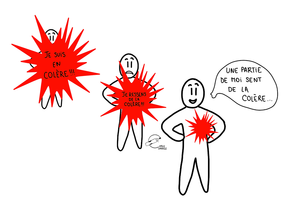3 phases de la colère
