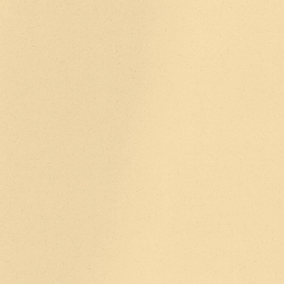 YellowBackground_edited.jpg