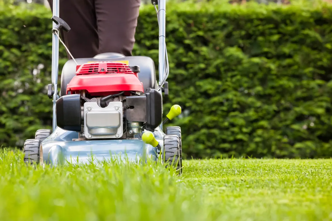 Aura VIP Lawns Lawn mowing and whipper snipping Yard Maintenance