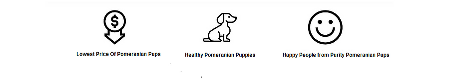 Pom Log.png