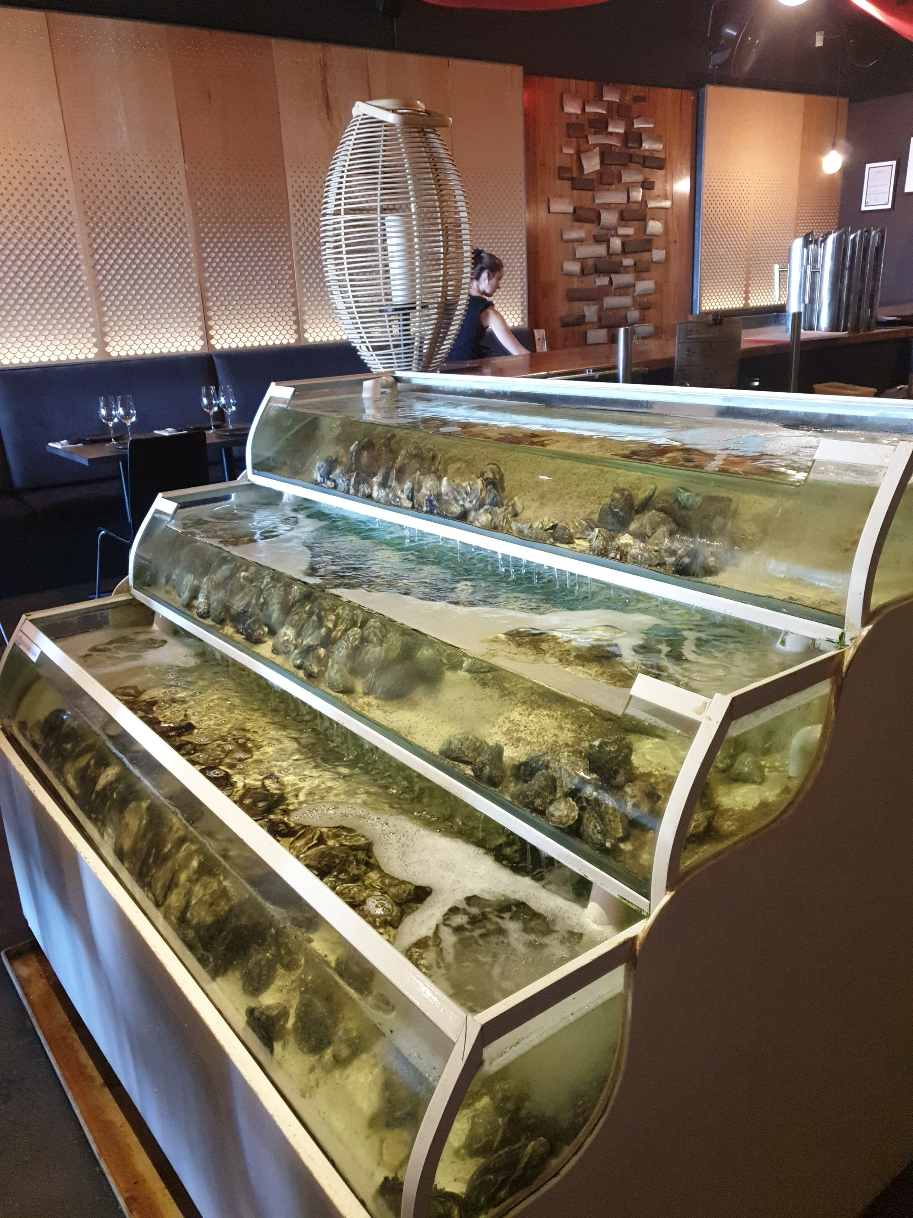 Home steamrestaurant