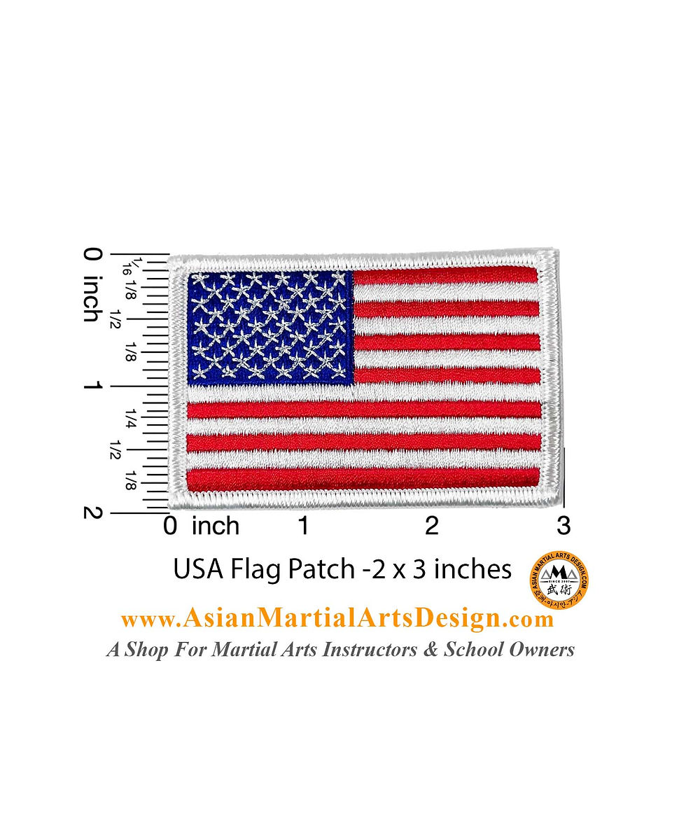 2 x 3 USA Flag Patch