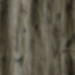 AR138 River View Lite Print Film Overview