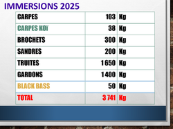 IMMERSION 2025