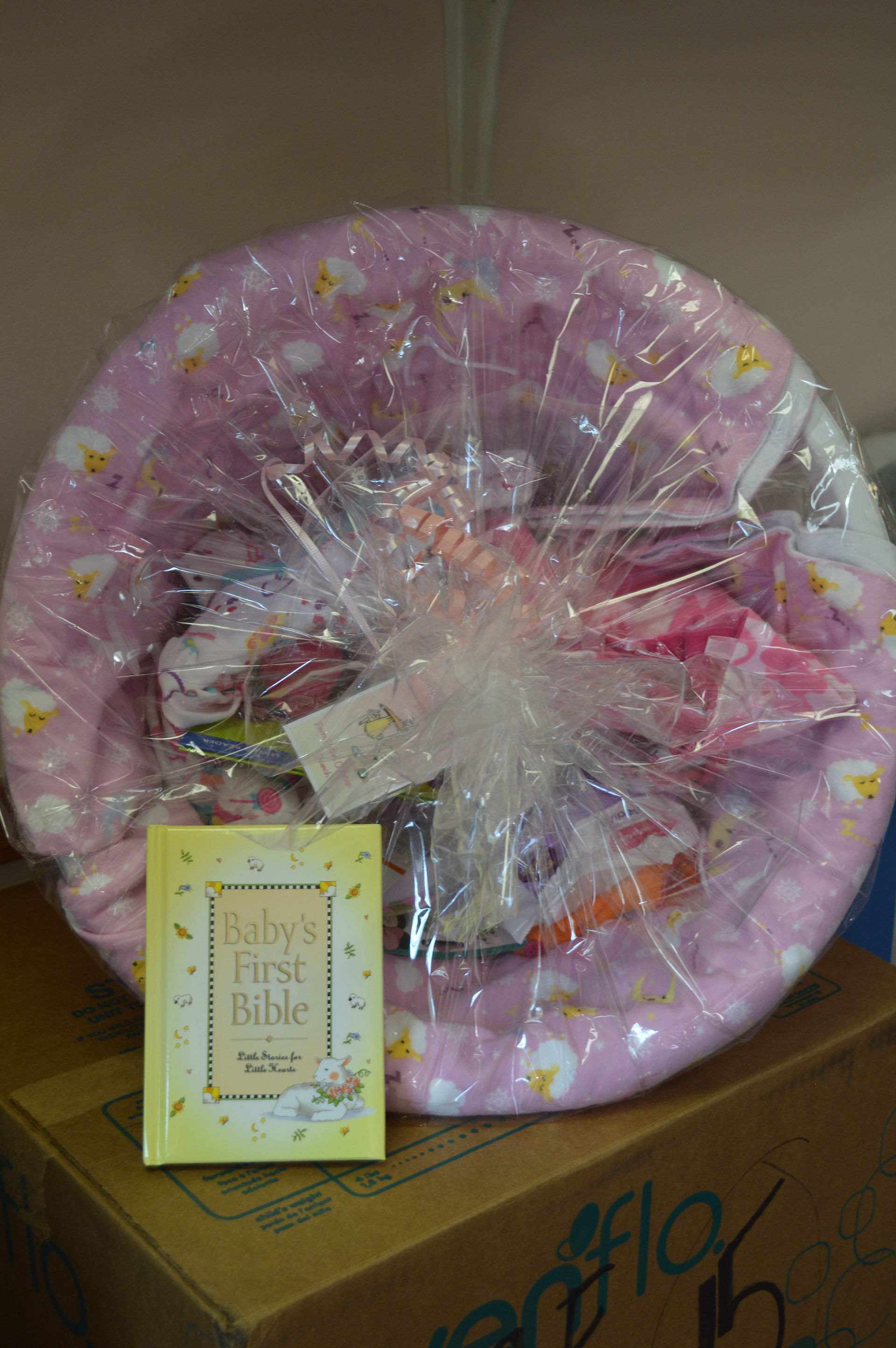 Bibles for Babies