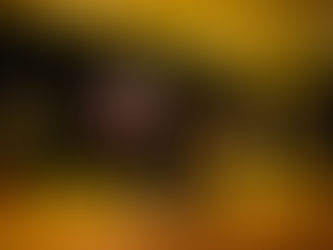 Plaatsing van muziek in op een trouwdienst