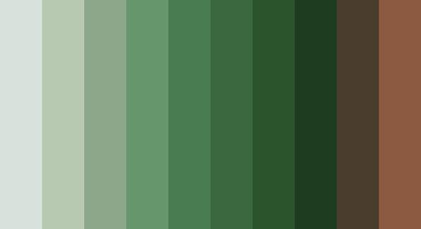 Color Theme.png