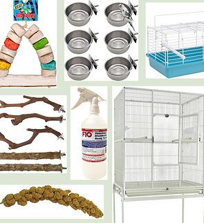 amazon wishlist pic.png