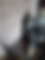 kedi sahiplendirme ilanları gösteren 5 numaralı fotoğraf sembolü