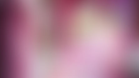 Legally Blonde The Musical – MK Theatre