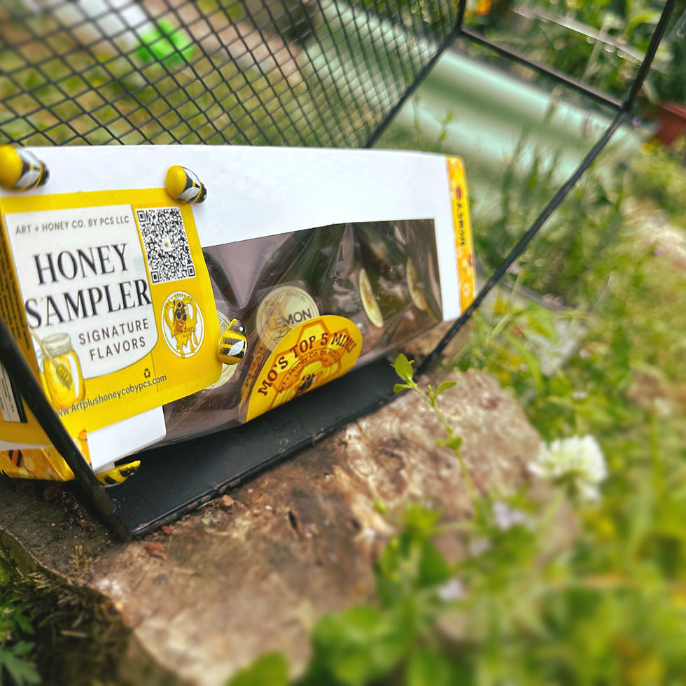 Thumbnail: 5 pack honey sampler