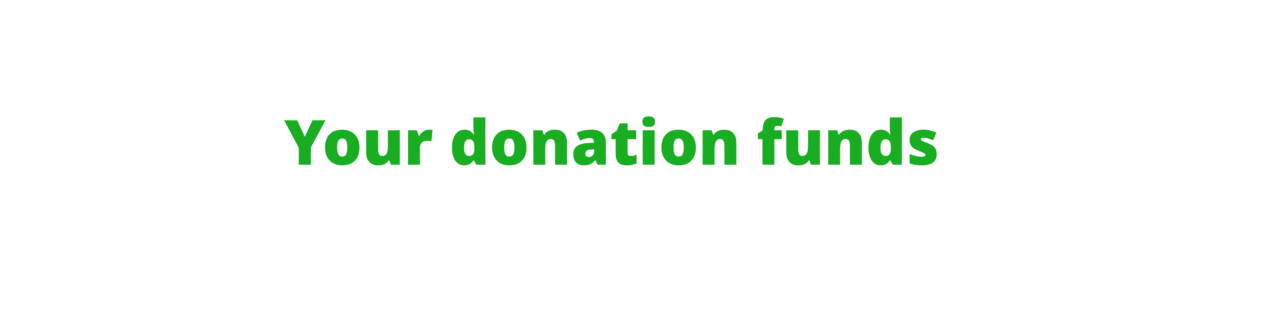 Donation Page Animated Text.gif