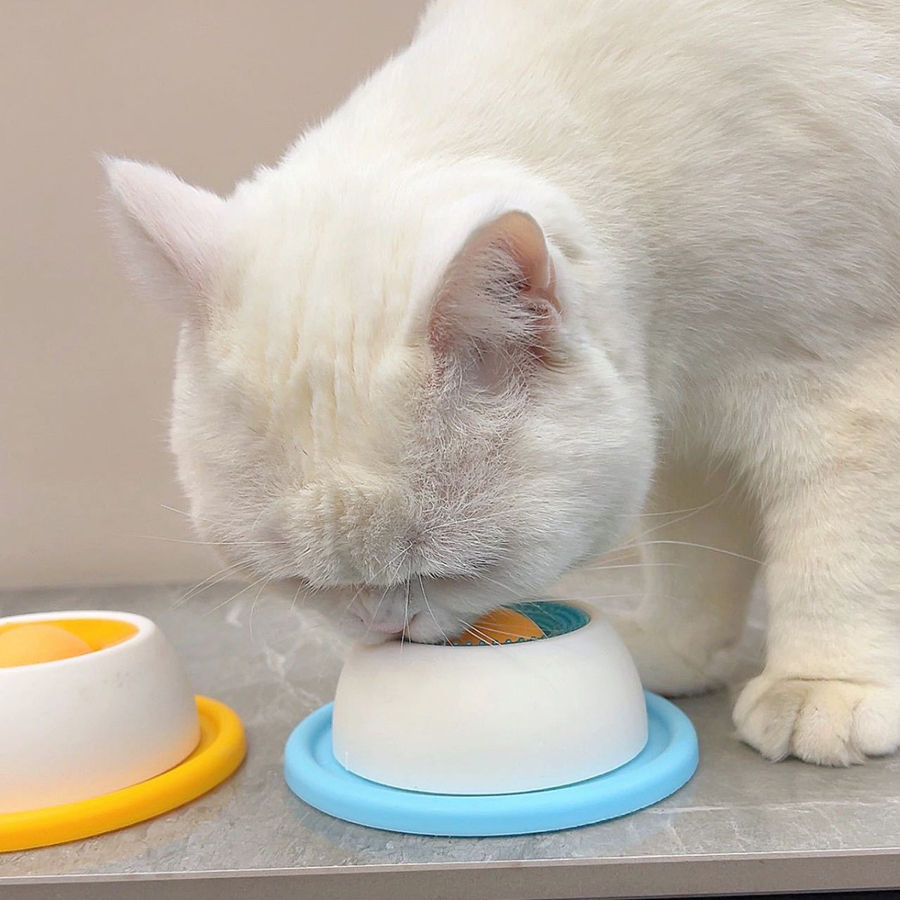 Thumbnail: Interactive Lick Mat Feeder | Slow Feeding Enrichment Toy for Dogs & Cats