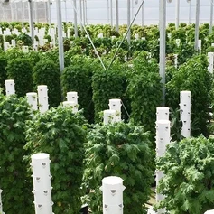 tower-farms.webp