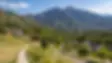 alpine-680ff1c1e08f9.webp