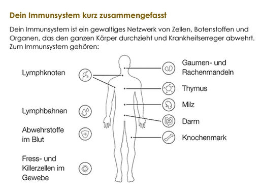 Dein Immunsystem - und was du dafür tun kannst...