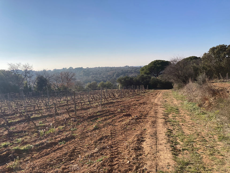 Secteur: Emily's Story