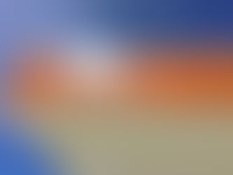 La Foir'Fouille Porto-Vecchio