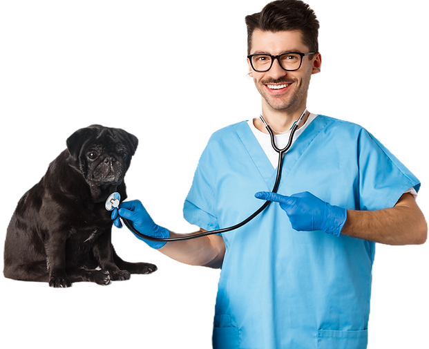 guapo-veterinario-en-la-clinica-veterina