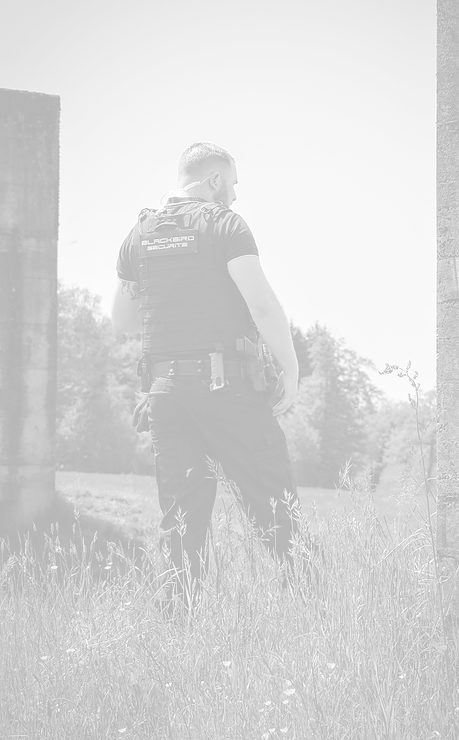 IMG_9842 copie_edited_edited.png