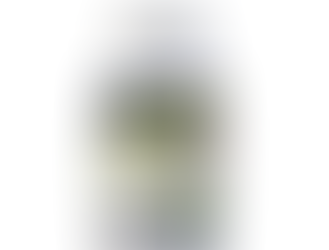 Que es Cardo Mariano