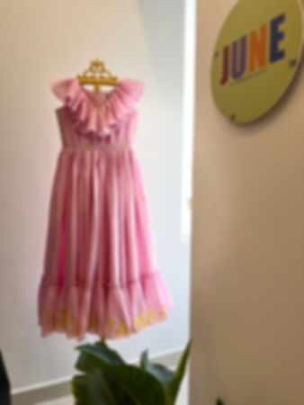 Ruffle neck embroidered dress