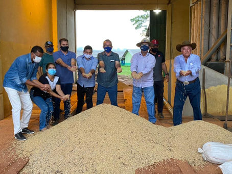 Após denúncia de crime ambiental contra o Silo Graneleiro, SEPA entra em ação
