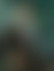 Section 135 & 136 Context