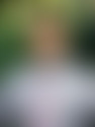 From Revolution to Restoration with Dr. Steven C. Harper