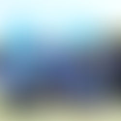 Reflecting on an Amazing Family Fun Day at Pascal Kitchen Specialists and SuperPatch