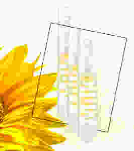 Milk Makeup - Sunshine Oil