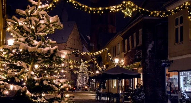 Vivaldi Chamber Choir: A Classical Christmas (2025 - TBC)