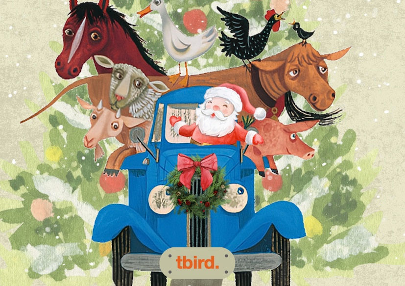 Christmas in the Country (2025 - TBC)