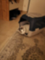IMG_20241028_182816_073026