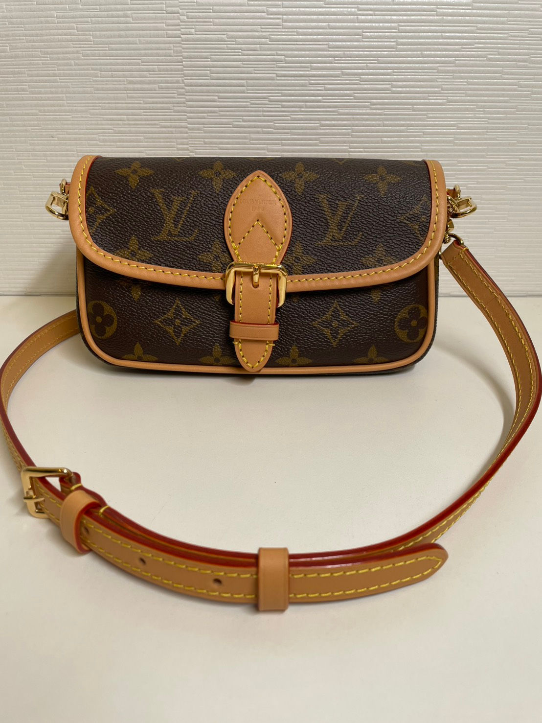 LOUIS VUITTON　ナノディアヌ