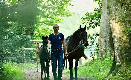 photo haras de bourgeauville ©Sabine Lösch
