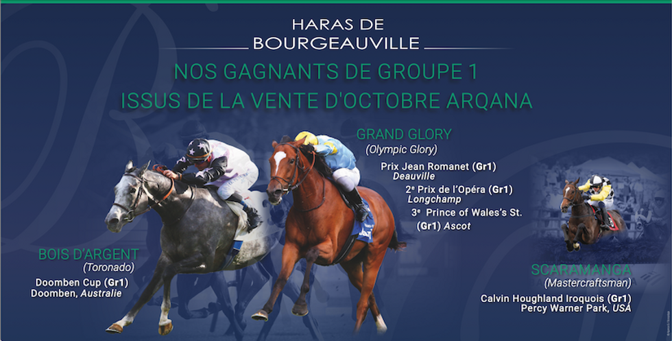 haras de bourgeauville visuel vente