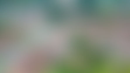 The UK’s fastest-rising house prices