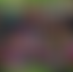 הבלתי נשכחים / ברצלונה רוקדת על הדשא