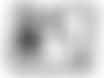 Certified for Sustainability