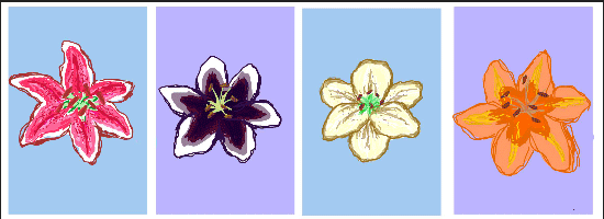 anlogo.gif