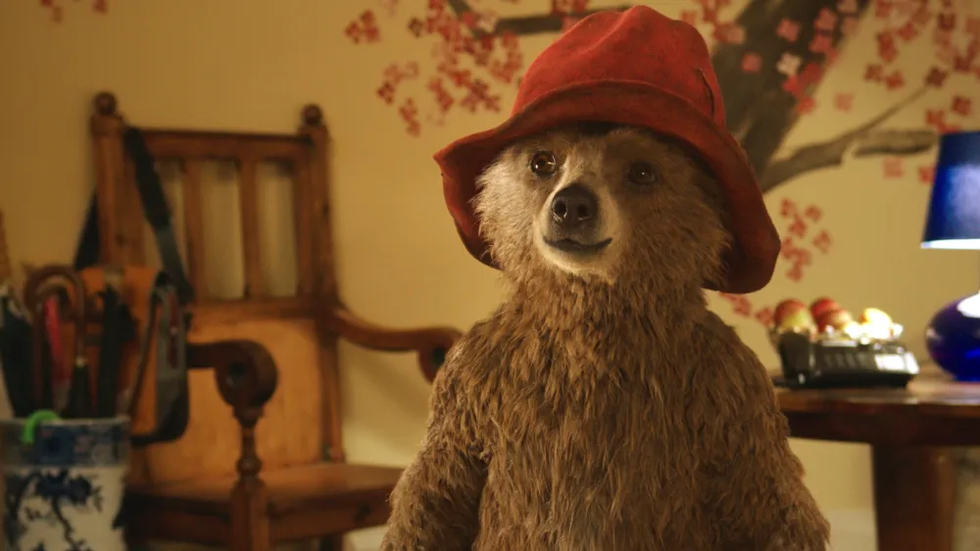 Paw-some News: "Paddington" Bear to Star in Musical Adaptation!