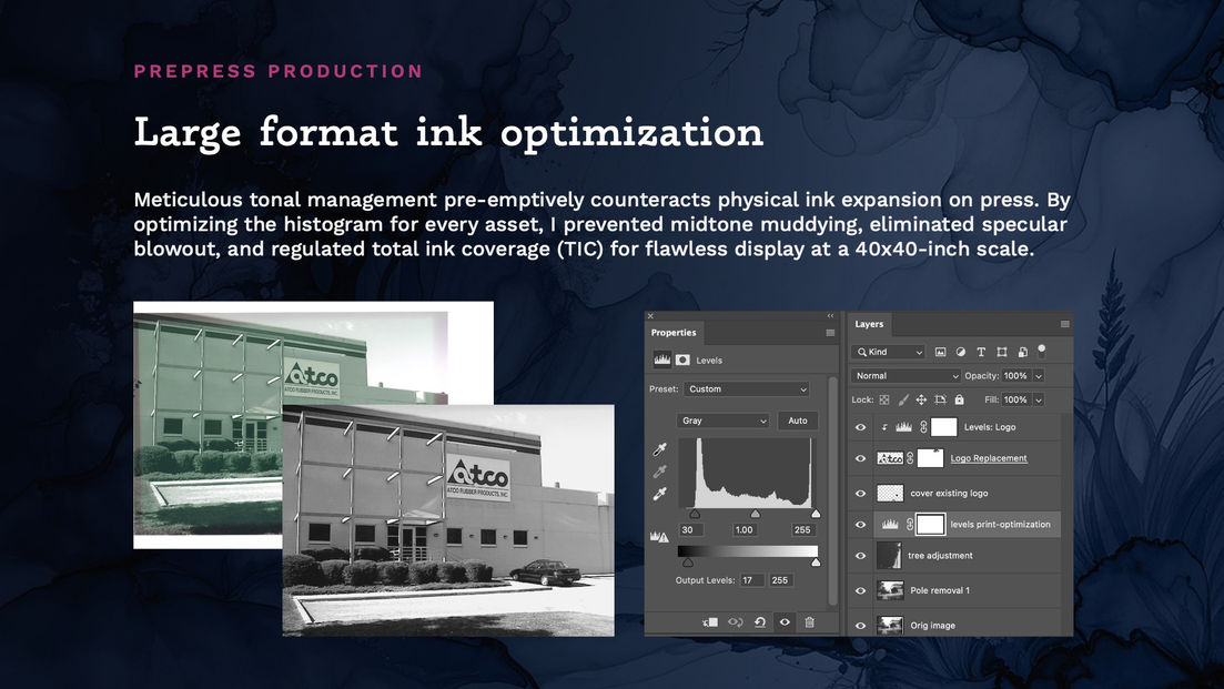 Examples illustrating tonal adjustments and ink optimization for optimal reproduction in print