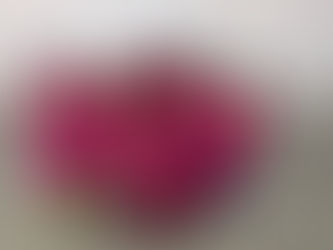 桜井純恵&児童合唱団なかよしくらぶ